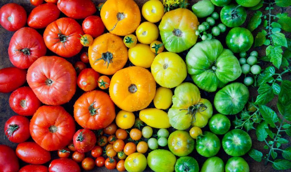 199291af2edb66e614e09599f461406f